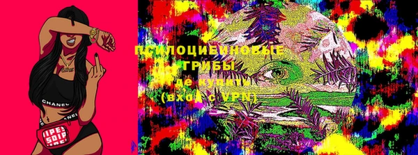 мдпв Касимов
