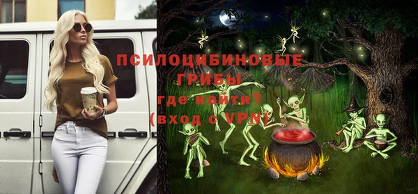 МДПВ Карпинск
