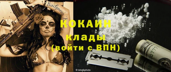 мдпв Касимов