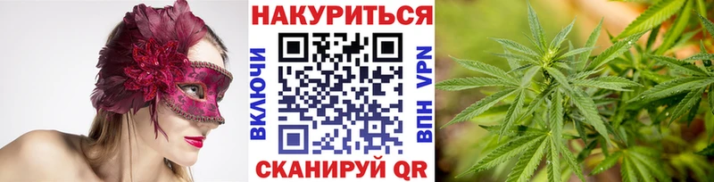 Купить закладки  Костомукша  Бошки Шишки MAZAR 